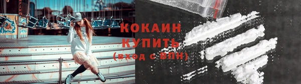 прущие грибы Беломорск