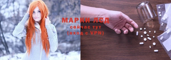 прущие грибы Белокуриха