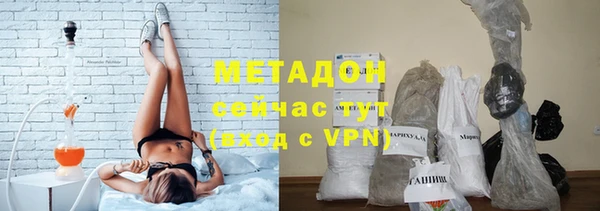 прущие грибы Белокуриха