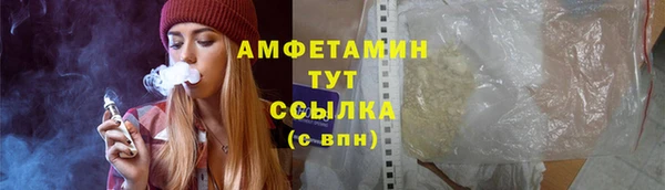 прущие грибы Белокуриха