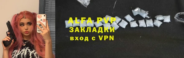 прущие грибы Беломорск