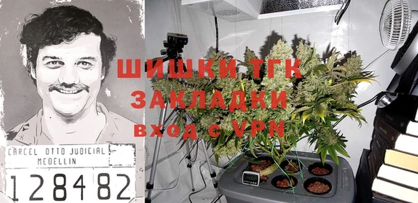 прущие грибы Беломорск