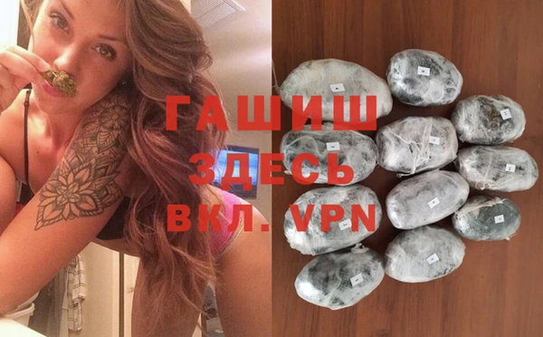 индика Арсеньев