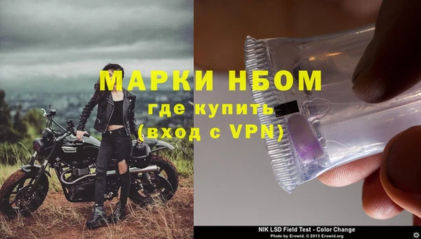 прущие грибы Белокуриха