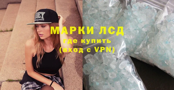 прущие грибы Белокуриха