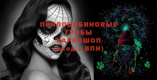 дмт Снежинск