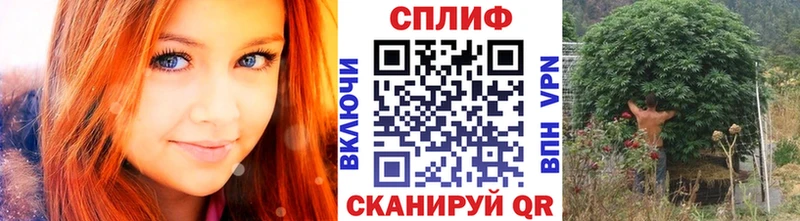 Шишки марихуана White Widow Болхов